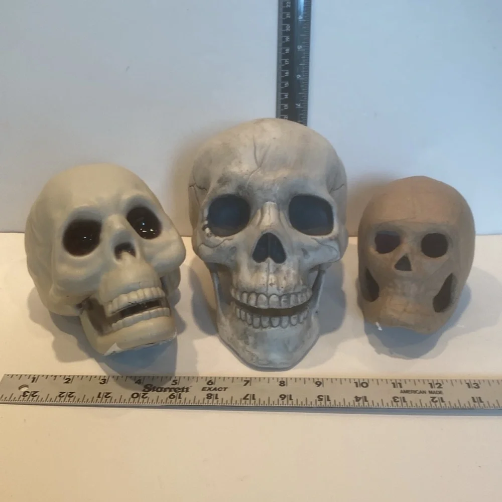 NWT & NWOT Set of 3 Composite Skulls - Picture 2 of 4